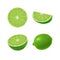 Set of isolated colored green lime, half, slice, circle and whole juicy fruit on white background. Realistic citrus collection.