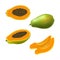 Set of isolated colored papaya, pawpaw, paw paw half with seeds, slice and whole juicy fruit on white background. Realistic fruit