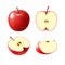 Set of isolated colored red apple half, slice and whole juicy fruit on white background. Realistic fruit collection.