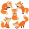 Set of isolated cute foxes part 1