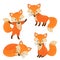 Set of isolated cute foxes part 2