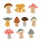 Set of isolated cute mushrooms