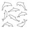 Set of isolated Dolphins in outline style