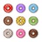 Set of isolated donuts. colorful doughnut illustration. top view