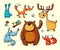 Set of isolated funny forest animals