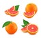 Set of isolated grapefruits. Realistic citrus image. 3d vector.