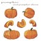 The set of isolated image of orange pumpkins  doodles