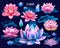 Set of isolated lotuses, Lotuses Flowers with light