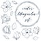 Set of isolated magnolia. Cute hand drawn vector elements in line art style.
