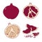 Set of isolated pomegranate icon