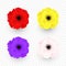 Set of Isolated Red, yellow, pink, purple poppy icon. Symbol of world war in modern style. Symbol of British remembrance day