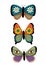 Set of isolated retro groovy butterfly