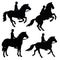 Set of isolated silhouettes of horses