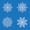 Set of isolated snowflakes. Christmas and winter symbol.