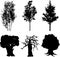 Set isolated trees - 13