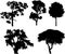 Set isolated trees - 15