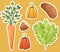 Set of isolated vector images of vegetables and herbs for salad. A collection of bright healthy vitamin products. Ready