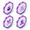 Set Isometric Beekeeper with protect hat, Type of bee, Honey dipper stick and icon. Purple hexagon button. Vector