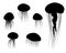 Set of Jellyfish Icons in silhouette style, vector