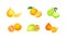 Set of juicy citrus fruit. Yuzu, pomelo, tangelo fruits vector illustration