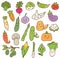 Set of kawaii vegetables on white background