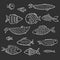 Set of kids white cartoon outline fishes