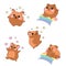 Set kit collection vector isolated illustration cute cartoon hamsters kawaii chibi style ]