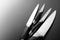 Set of kitchen knives