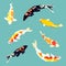 set of koi fish, carp fish collection, vector