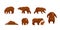 Set of large brown bear in different poses looking, running, walking, sleeping, attack. Wild forest creature different