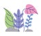 Set of leafs nature isolated icon
