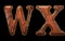 Set of leather letters W, X uppercase. 3D render font with skin texture isolated on black background.