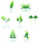 Set of leaves icon