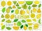 Set with lemon doodle icon