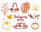 Set of lettering and illustrations for Thanksgiving Day. Vector drawn and handwritten labels of Happy Fall etc.