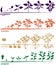 Set of life cycles of nightshade plants