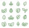 Set of line leaf icons