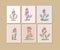 Set of line women bodies on a beige background