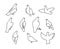 Set of linear doves, decorative pigeon. Minimalistic birds