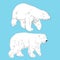 Set of linear drawing polar bears