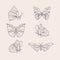Set of linear flat butterfly outline Vector illustration.