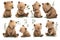 Set of little bear cub in different poses in style watercolor, cute and curious, white background