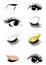 Set of logos of eyelashes. Collection of stylized women eyes with makeup. Logo for eyelash extension.