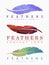 Set of logos of feathers