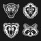Set of logos for sport team. Panthers, Gorillas, Bears, Raccoons. Animal mascot logotype. Template. Vector illustration.