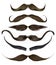 set long curly beard and mustache different colors.beauty style .realistic 3d .