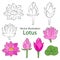 : Set of lotus sketches. Vector illustration.
