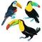 Set of lovely toucans from different angles on white background.