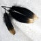Set of luxury gilded gold golden black swan feather on white lace background