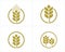 Set of Luxury Grain wheat logo concept, Agriculture wheat Logo Template vector icon